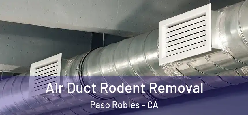  Air Duct Rodent Removal Paso Robles - CA