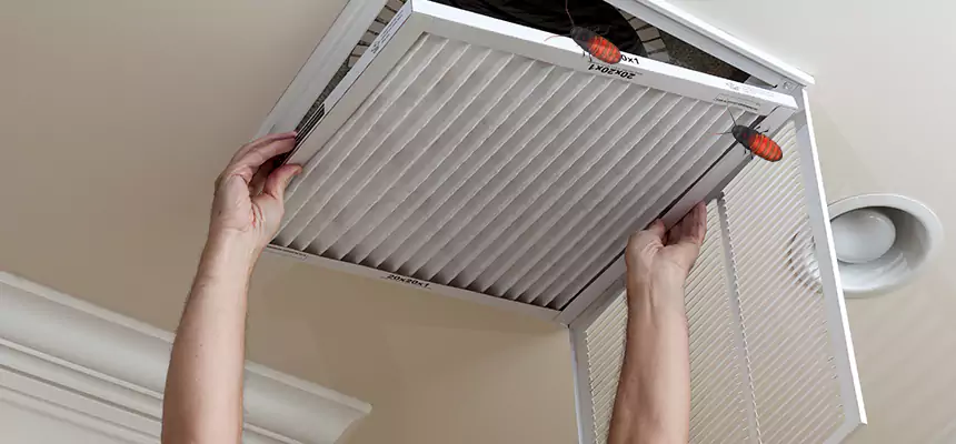 Preventive Cockroach-Proofing for Ducts in Paso Robles