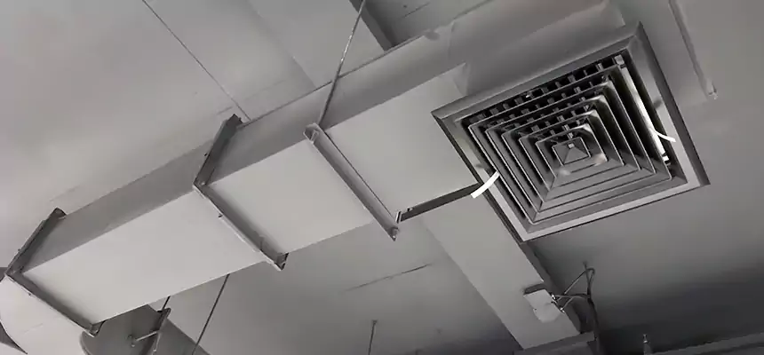 Restorative Allergy Relief Vent Cleaning – Coil, Blower & Housing Detail in Paso Robles