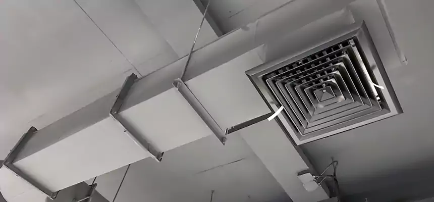 Our Pest Removal From Ducts Services in Paso Robles, CA