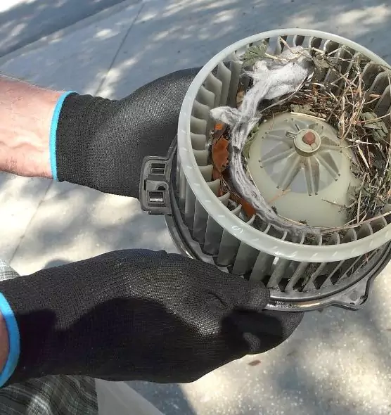 About Air Duct Rat Removal in Paso Robles, CA