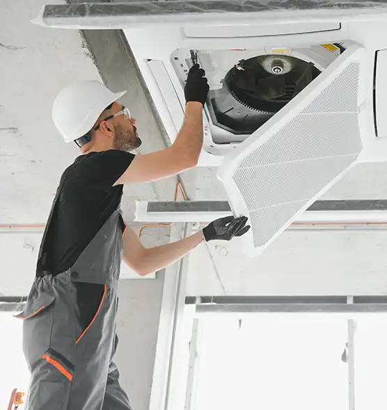 About Air Duct Rodent Removal in Paso Robles, CA