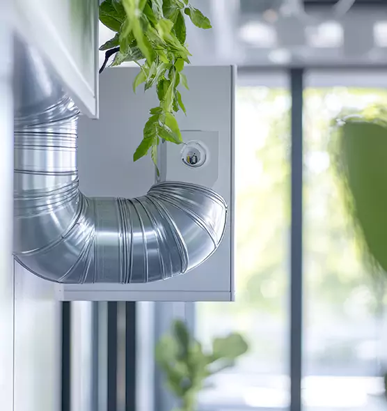 Professional Eco-Friendly Duct Cleaning Services in Paso Robles, CA