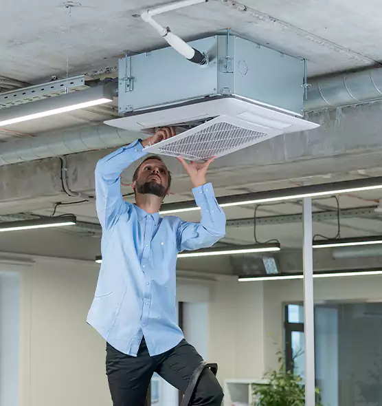 Advanced Rodent Droppings In Vents in Paso Robles, CA