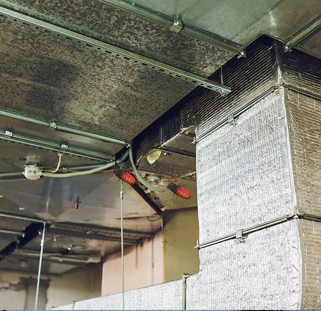 Why Homeowners & Businesses Trust Us in Paso Robles, CA?