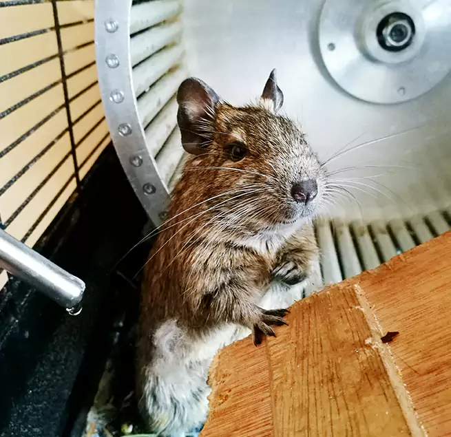 Why Homeowners & Businesses Trust Us Paso Robles, CA?