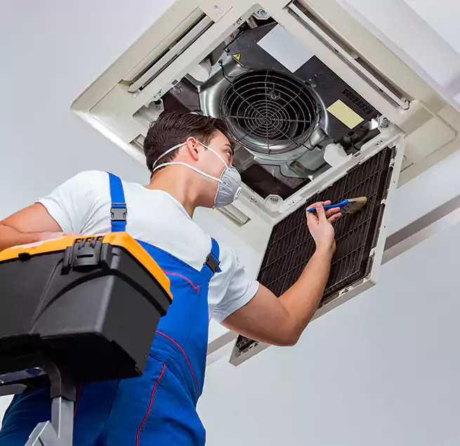 Why Homeowners & Businesses Trust Us in Paso Robles, CA