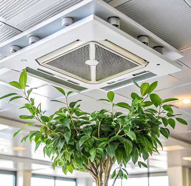 Why Homeowners & Businesses Trust Us in Paso Robles, CA