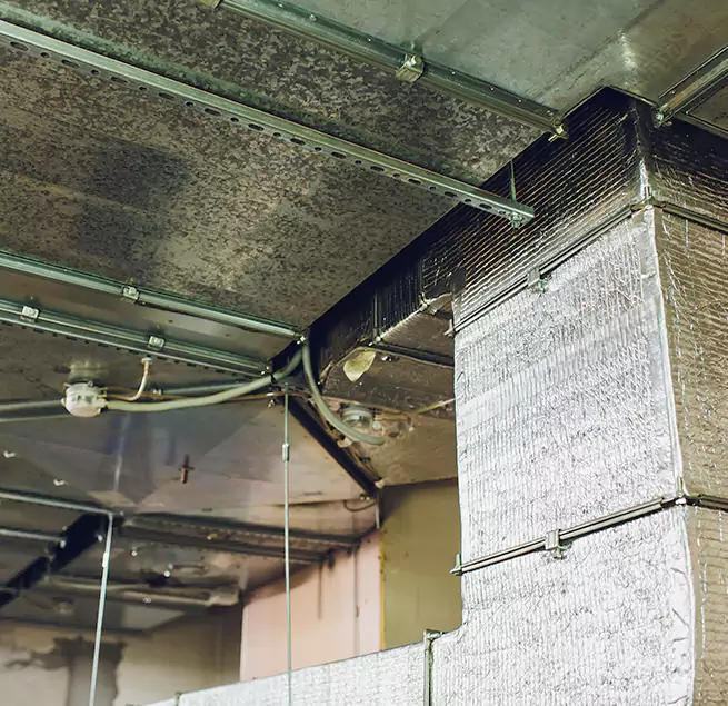 Why Homeowners & Businesses Trust Us in Paso Robles, CA?